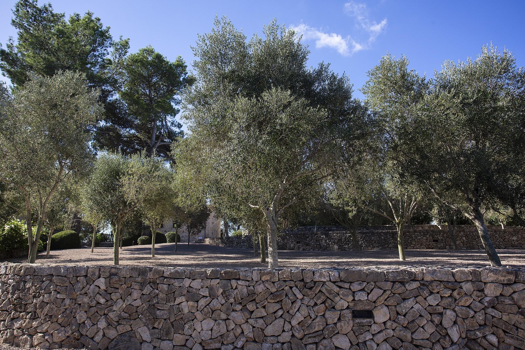 Finca Son Dagueta - Image# 18