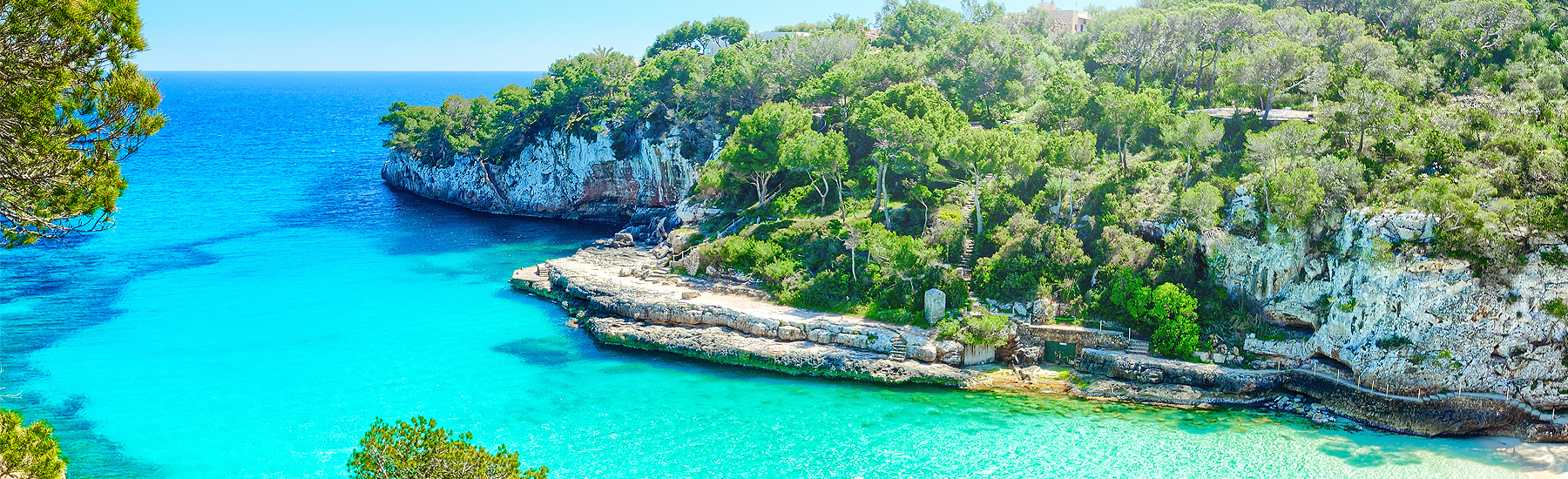 White Dolphin Group - expert for Mallorca luxury real estate Mallorca luxury real estate